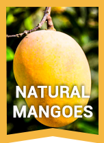 n-mango